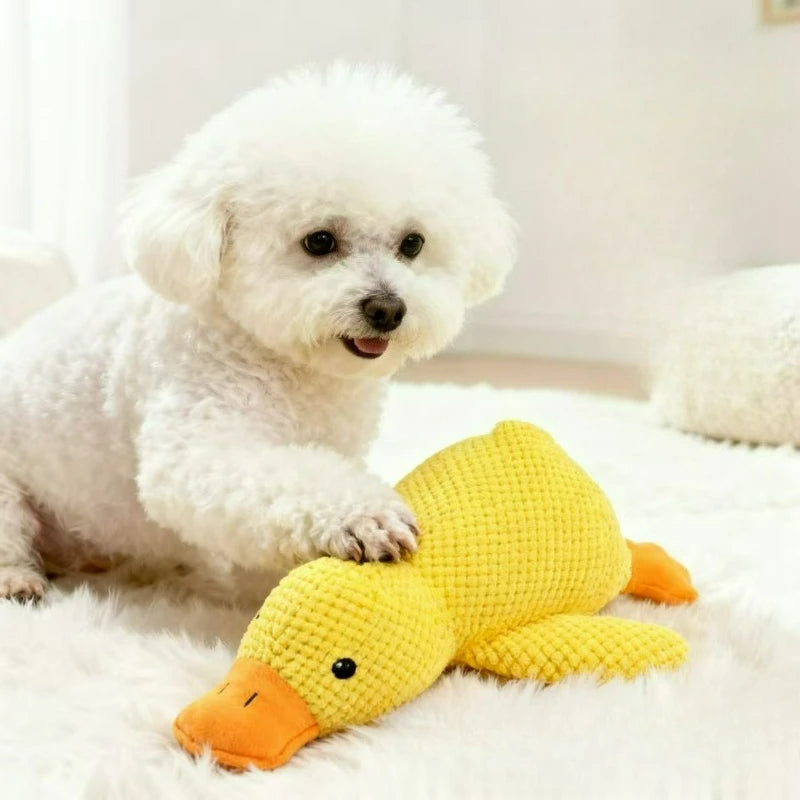 1Pcs Dog Toy Little Yellow Duck Plush Toy Self-entertaining,Bite-resistant,Teething,Sound-making Toy for Small and Medium Dogs