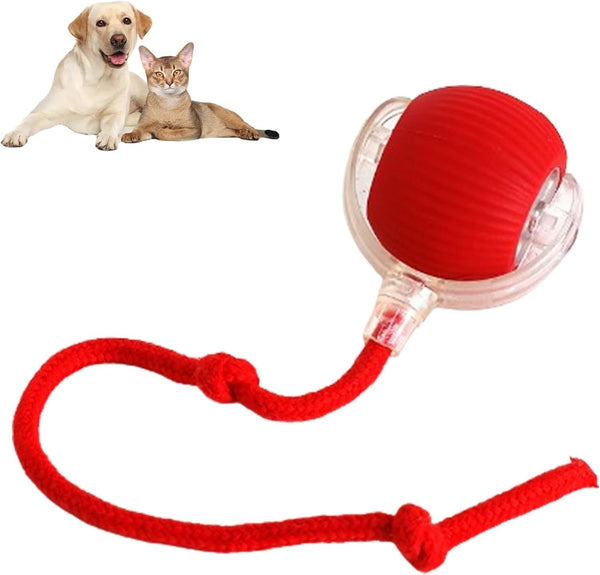 Smart Play Pet Ball